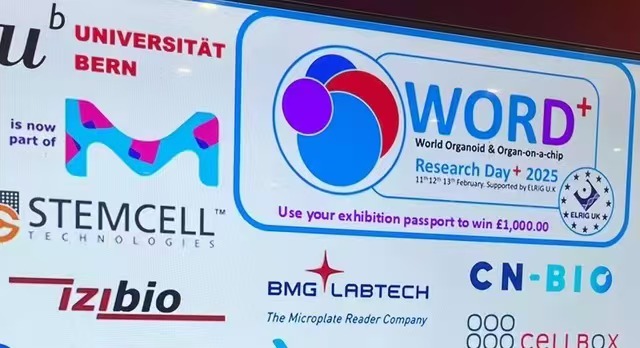 微信圖片_20250801180907.jpg 微信圖片_20250801180907.jpg